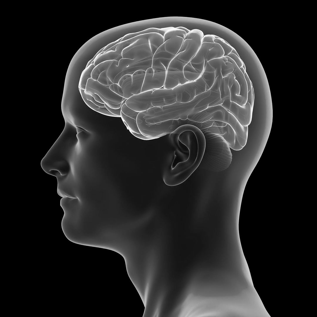 TV I VEĆINA OSTALIH MEDIJA ISPIRAJU MOZAK!?