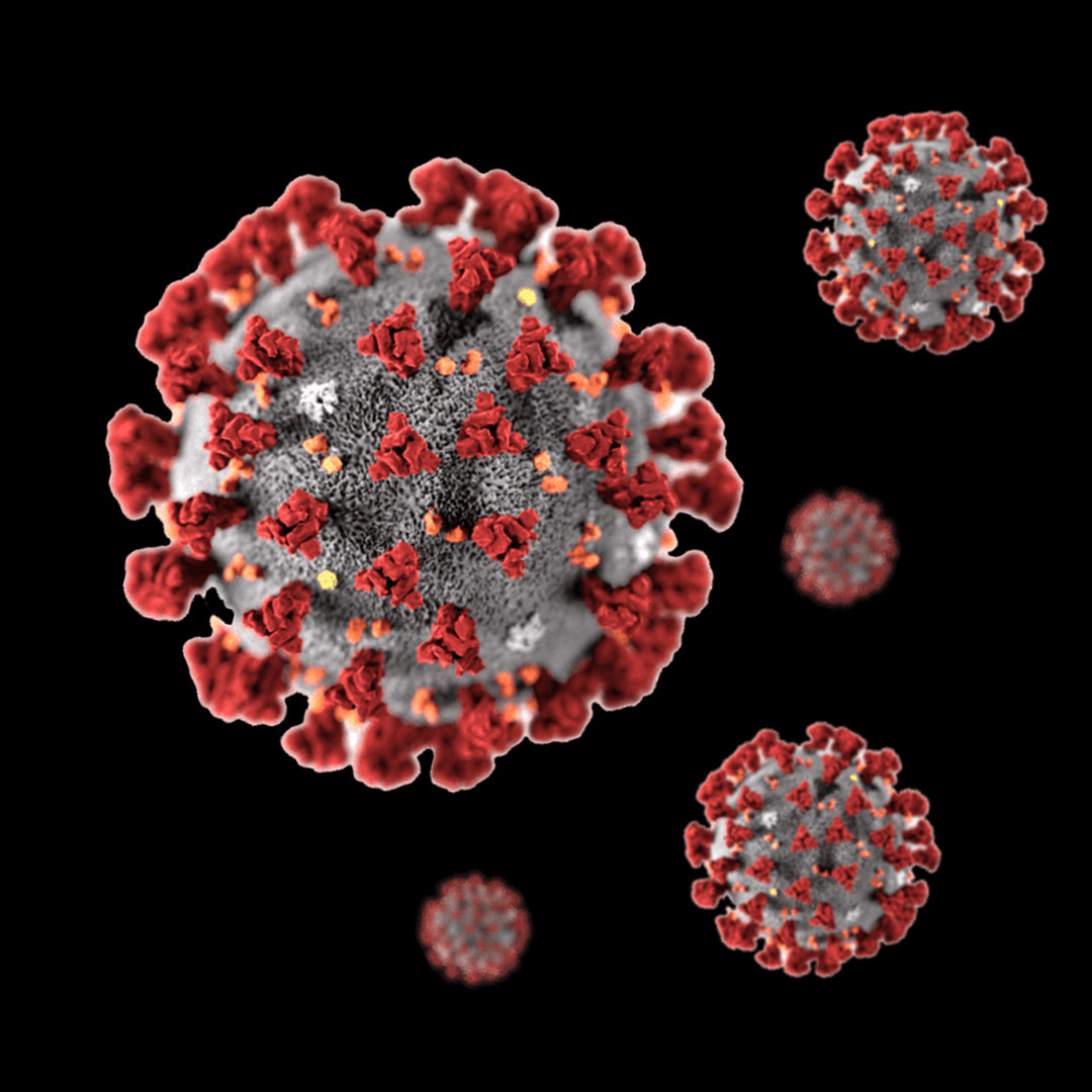 Pandemija novog virusa! Da li znaš da se, nažalost, sve više širi novi virus?